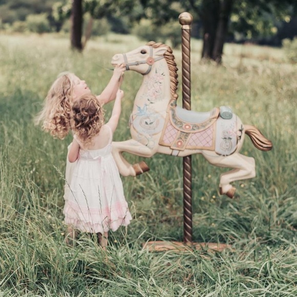 Meet your Posher, Tara - Picture 9 of 10